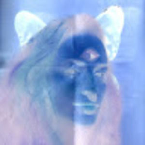 Meet your Posher, Birdy